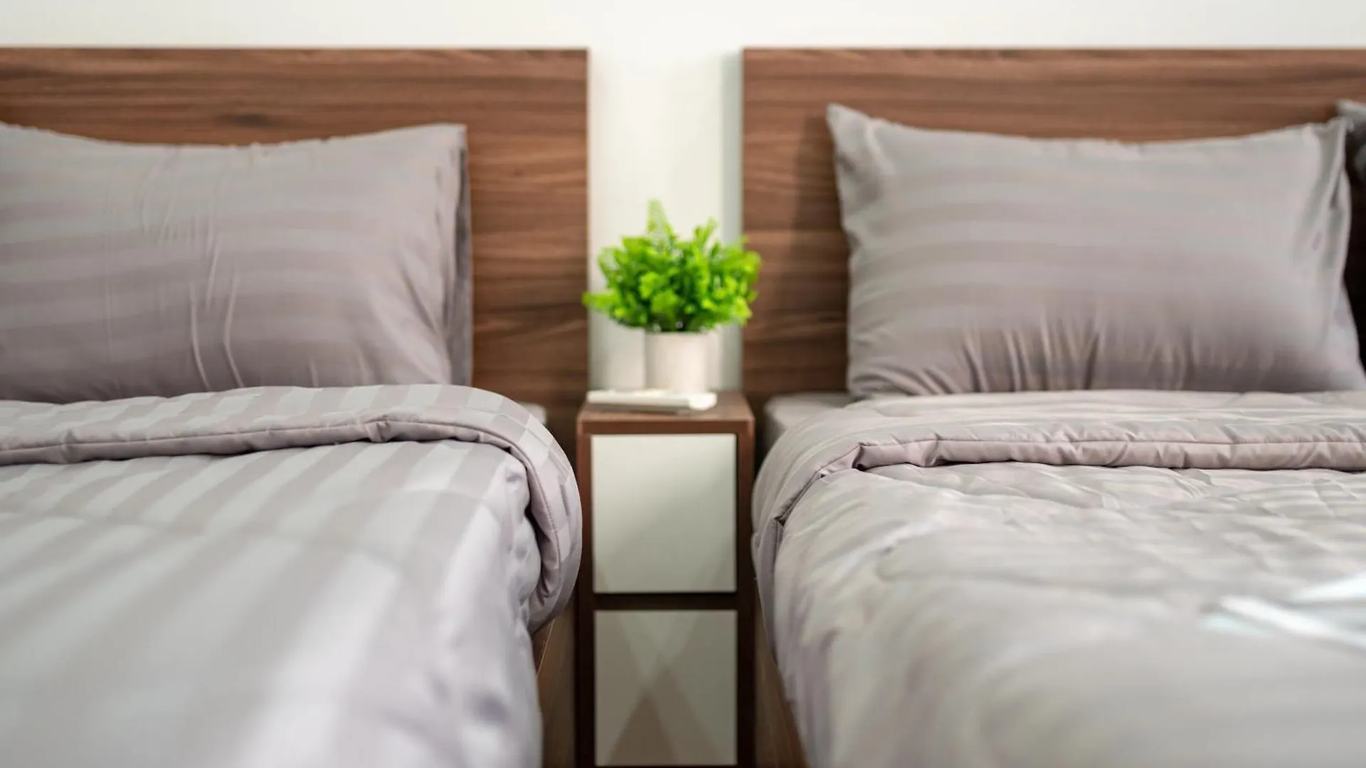 Tan Hoa Homestay Da Nang